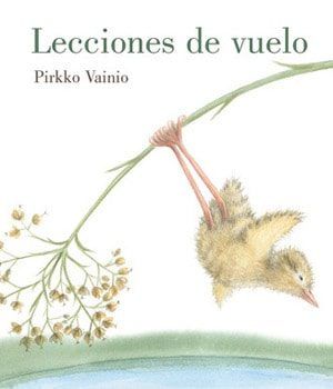 Lecciones de vuelo