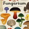 FUNGARIUM - KATIE SCOTT y ESTER GAYA
